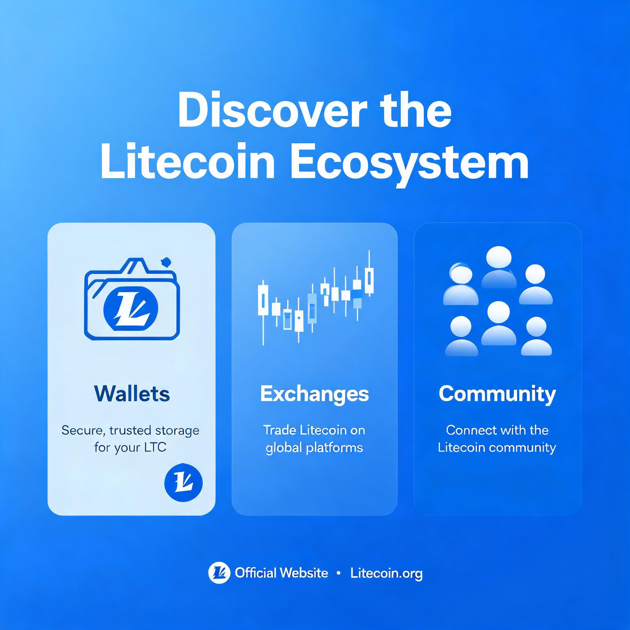 and Community on the Official Website