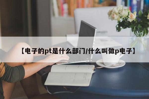 【电子的pt是什么部门/什么叫做p电子】