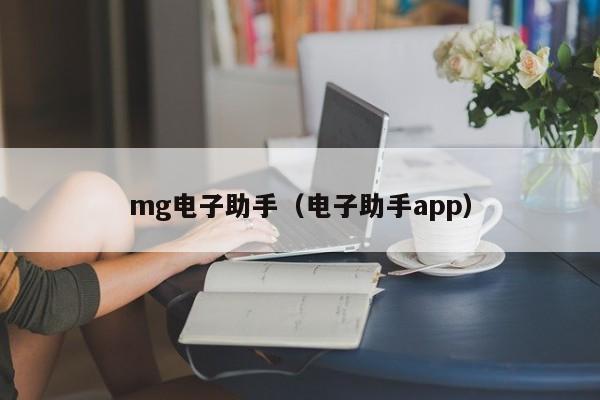 mg电子助手(电子助手app)